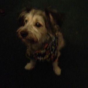 Meet your Posher, Linda